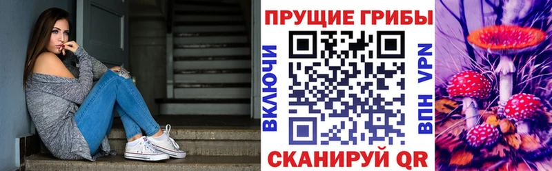 хочу   Староминская  Псилоцибиновые грибы MAGIC MUSHROOMS 